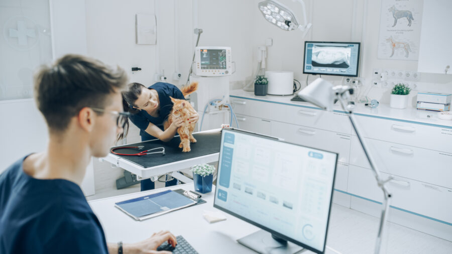 Veterinary Practice with Technology